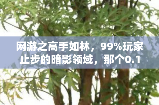 网游之高手如林，99%玩家止步的暗影领域，那个0.1%的扎心真相竟是……