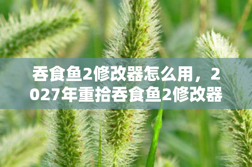 吞食鱼2修改器怎么用，2027年重拾吞食鱼2修改器，伏笔揭开旧情，鼻子一酸忆往昔