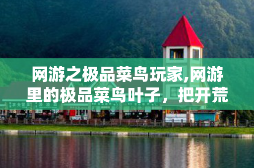网游之极品菜鸟玩家,网游里的极品菜鸟叶子，把开荒玩成治愈系日常