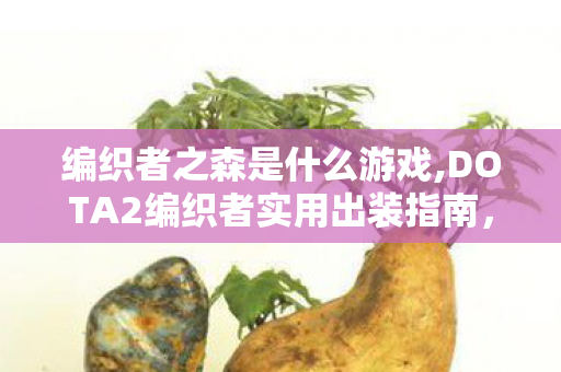 编织者之森是什么游戏,DOTA2编织者实用出装指南,从对线到后期的灵活配置思路 编织者之森是什么游戏,DOTA2编织者实用出装指南,从对线到后期的灵活配置思路