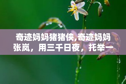 奇迹妈妈猪猪侠,奇迹妈妈张岚,用三千日夜,托举一群特殊孩子的闪光人生 奇迹妈妈猪猪侠,奇迹妈妈张岚,用三千日夜,托举一群特殊孩子的闪光人生