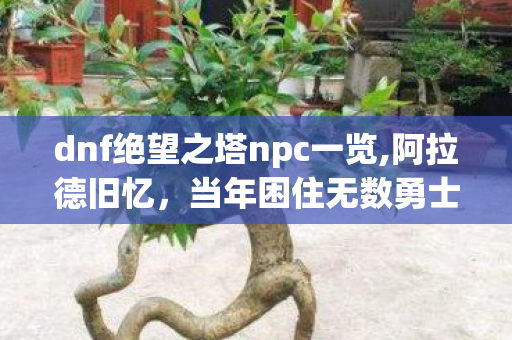 dnf绝望之塔npc一览,阿拉德旧忆，当年困住无数勇士的绝望之塔99层