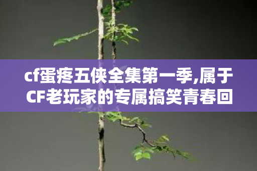 cf蛋疼五侠全集第一季,属于CF老玩家的专属搞笑青春回忆