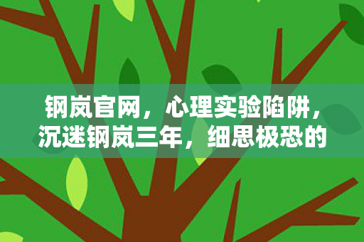钢岚官网，心理实验陷阱，沉迷钢岚三年，细思极恐的自我囚禁