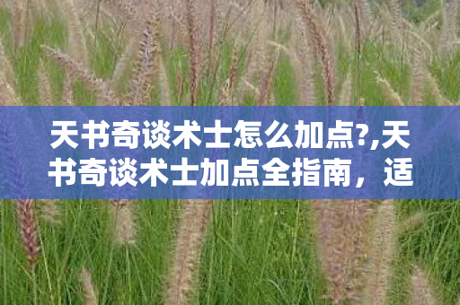 天书奇谈术士怎么加点?,天书奇谈术士加点全指南，适配不同玩法的最优思路解析