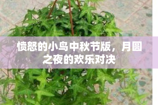 愤怒的小鸟中秋节版图片