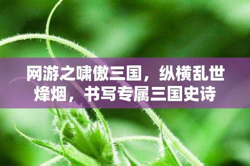 网游之啸傲三国,纵横乱世烽烟,书写专属三国史诗 网游之啸傲三国,纵横乱世烽烟,书写专属三国史诗
