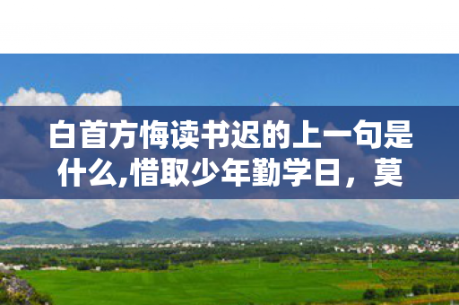 白首方悔读书迟的上一句是什么,惜取少年勤学日,莫待霜雪染鬓时 白首方悔读书迟的上一句是什么,惜取少年勤学日,莫待霜雪染鬓时