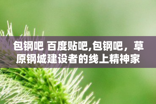 包钢吧 百度贴吧,包钢吧，草原钢城建设者的线上精神家园