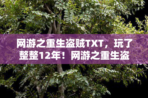网游之重生盗贼TXT,玩了整整12年!网游之重生盗贼老玩家,该继续还是退坑? 网游之重生盗贼TXT,玩了整整12年!网游之重生盗贼老玩家,该继续还是退坑?