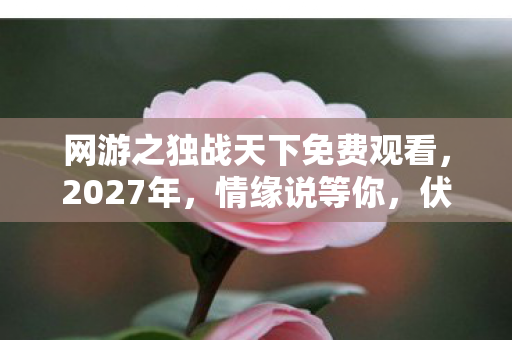 网游之独战天下免费观看,2027年,情缘说等你,伏笔揭开时我鼻子一酸 网游之独战天下免费观看,2027年,情缘说等你,伏笔揭开时我鼻子一酸