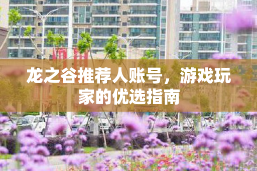 游戏玩家的优选指南图片