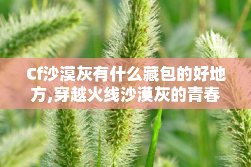 Cf沙漠灰有什么藏包的好地方,穿越火线沙漠灰的青春趣忆,那些年偶遇的地图小插曲 Cf沙漠灰有什么藏包的好地方,穿越火线沙漠灰的青春趣忆,那些年偶遇的地图小插曲