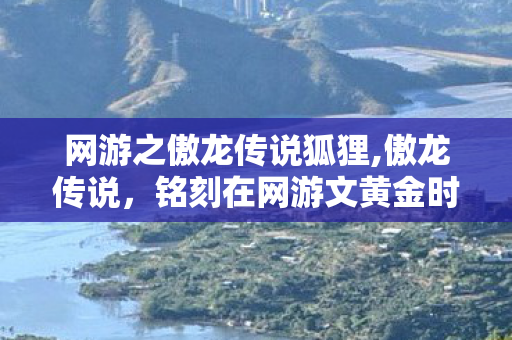 网游之傲龙传说狐狸,傲龙传说，铭刻在网游文黄金时代的热血浪漫印记