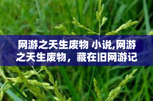 网游之天生废物 小说,网游之天生废物，藏在旧网游记忆里的热血成长叙事