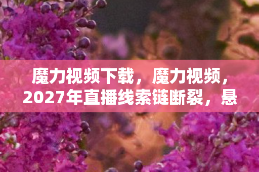 魔力视频下载，魔力视频，2027年直播线索链断裂，悬案背后藏着毛骨悚然的玩家轮回