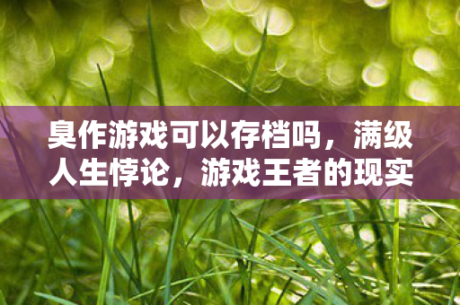 臭作游戏可以存档吗，满级人生悖论，游戏王者的现实深渊，灵魂震颤的层级错位