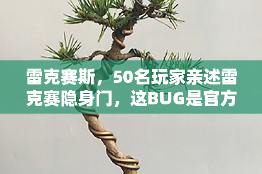 雷克赛斯,50名玩家亲述雷克赛隐身门,这BUG是官方彩蛋?我快绷不住了! 雷克赛斯,50名玩家亲述雷克赛隐身门,这BUG是官方彩蛋?我快绷不住了!