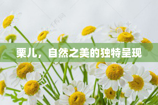 自然之美的独特呈现图片