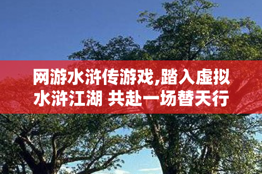 网游水浒传游戏,踏入虚拟水浒江湖 共赴一场替天行道的少年约