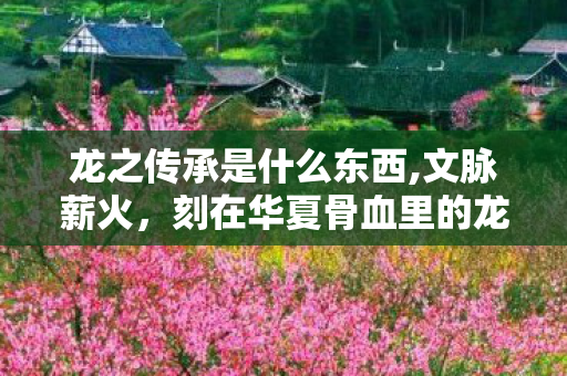 龙之传承是什么东西,文脉薪火，刻在华夏骨血里的龙之传承