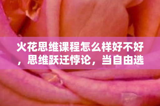 火花思维课程怎么样好不好，思维跃迁悖论，当自由选择撞碎命运枷锁，谁在操控你的灵魂层级？