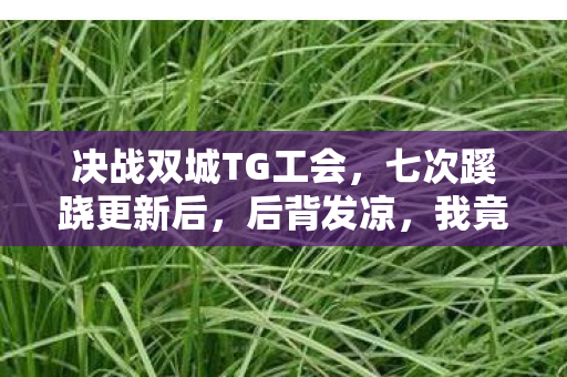 决战双城TG工会，七次蹊跷更新后，后背发凉，我竟被决战双城玩了十年？