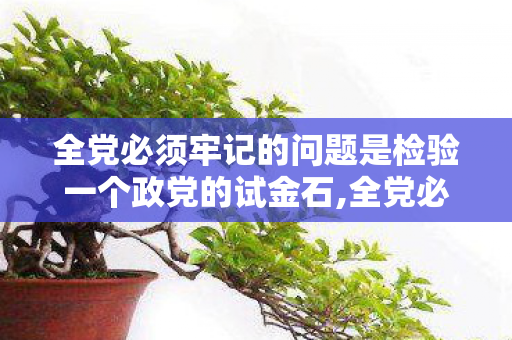 全党必须牢记的问题是检验一个政党的试金石,全党必须牢记的根本性问题 筑牢新征程上的前行根基
