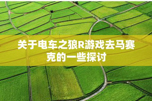关于电车之狼R游戏去马赛克的一些探讨图片