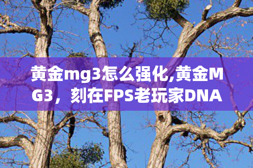 黄金mg3怎么强化,黄金MG3，刻在FPS老玩家DNA里的鎏金战枪