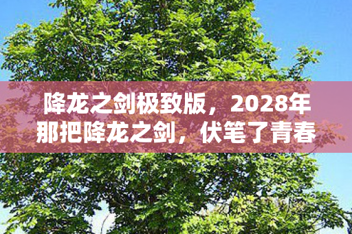 降龙之剑极致版，2028年那把降龙之剑，伏笔了青春，如今想起鼻子一酸
