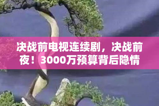 决战前电视连续剧，决战前夜！3000万预算背后隐情曝光，真相让人吓一跳！