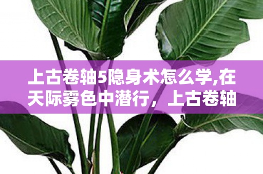 上古卷轴5隐身术怎么学,在天际雾色中潜行,上古卷轴5隐身术的趣味玩法与独特浪漫 上古卷轴5隐身术怎么学,在天际雾色中潜行,上古卷轴5隐身术的趣味玩法与独特浪漫