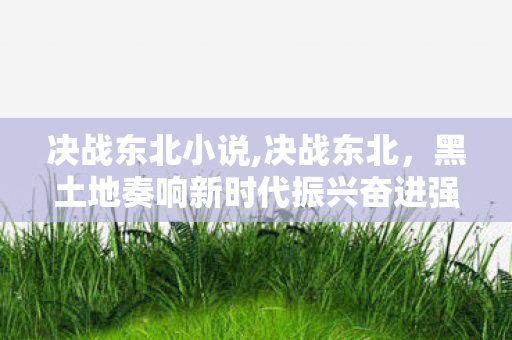 决战东北小说,决战东北,黑土地奏响新时代振兴奋进强音 决战东北小说,决战东北,黑土地奏响新时代振兴奋进强音