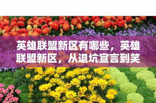 英雄联盟新区有哪些，英雄联盟新区，从退坑宣言到笑着笑着哭了的落差真相
