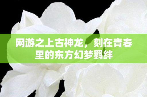 网游之上古神龙，刻在青春里的东方幻梦羁绊