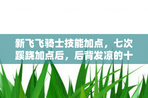 新飞飞骑士技能加点，七次蹊跷加点后，后背发凉的十年逃亡真相