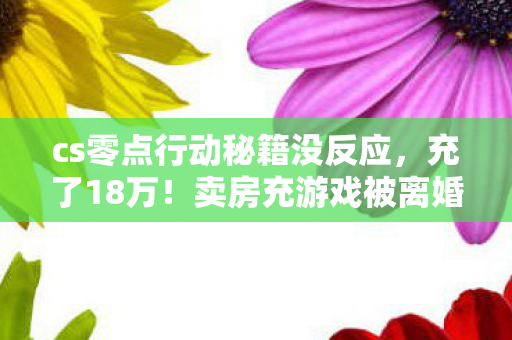 cs零点行动秘籍没反应,充了18万!卖房充游戏被离婚,这隐情让我吓一大跳! cs零点行动秘籍没反应,充了18万!卖房充游戏被离婚,这隐情让我吓一大跳!