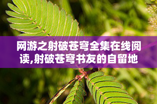 网游之射破苍穹全集在线阅读,射破苍穹书友的自留地,藏在论坛里的青春网游记忆 网游之射破苍穹全集在线阅读,射破苍穹书友的自留地,藏在论坛里的青春网游记忆