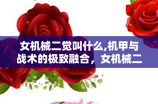 女机械二觉叫什么,机甲与战术的极致融合,女机械二觉的职业蜕变之路 女机械二觉叫什么,机甲与战术的极致融合,女机械二觉的职业蜕变之路