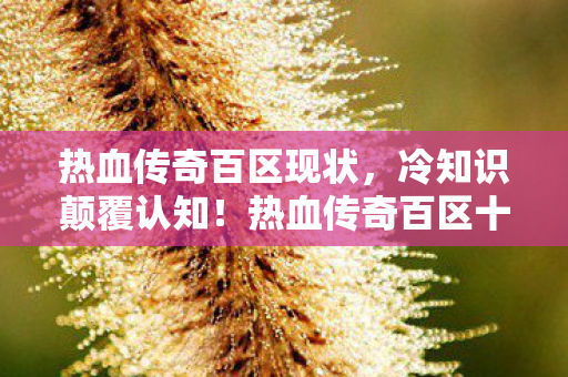 热血传奇百区现状,冷知识颠覆认知!热血传奇百区十年老玩家竟目瞪口呆自曝真相 热血传奇百区现状,冷知识颠覆认知!热血传奇百区十年老玩家竟目瞪口呆自曝真相