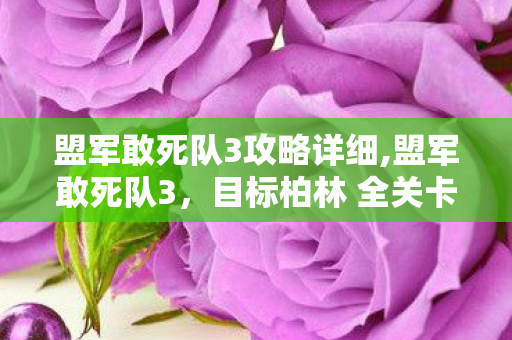 盟军敢死队3攻略详细,盟军敢死队3,目标柏林 全关卡实用通关技巧指南 盟军敢死队3攻略详细,盟军敢死队3,目标柏林 全关卡实用通关技巧指南