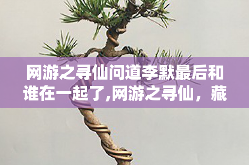 网游之寻仙问道李默最后和谁在一起了,网游之寻仙,藏在青瓦古松间的旧仙侠梦 网游之寻仙问道李默最后和谁在一起了,网游之寻仙,藏在青瓦古松间的旧仙侠梦