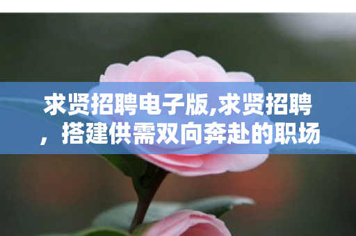 求贤招聘电子版,求贤招聘,搭建供需双向奔赴的职场新桥梁 求贤招聘电子版,求贤招聘,搭建供需双向奔赴的职场新桥梁