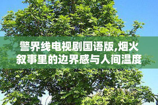警界线电视剧国语版,烟火叙事里的边界感与人间温度 警界线电视剧国语版,烟火叙事里的边界感与人间温度