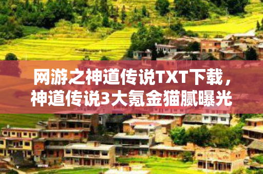 网游之神道传说TXT下载,神道传说3大氪金猫腻曝光!99%玩家被割韭菜还喊真香 网游之神道传说TXT下载,神道传说3大氪金猫腻曝光!99%玩家被割韭菜还喊真香