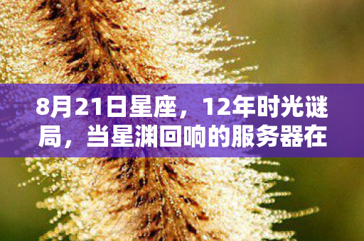 8月21日星座,12年时光谜局,当星渊回响的服务器在泪目中永眠 8月21日星座,12年时光谜局,当星渊回响的服务器在泪目中永眠