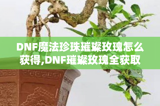 DNF魔法珍珠璀璨玫瑰怎么获得,DNF璀璨玫瑰全获取方法指南 高效收集不用走弯路 DNF魔法珍珠璀璨玫瑰怎么获得,DNF璀璨玫瑰全获取方法指南 高效收集不用走弯路