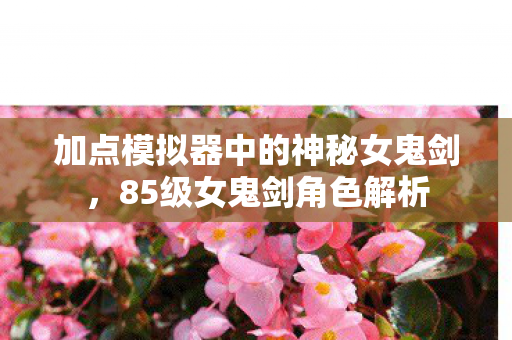 加点模拟器中的神秘女鬼剑图片