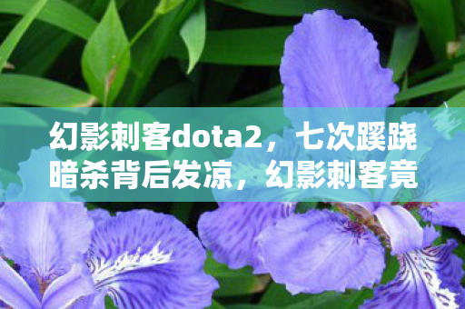 幻影刺客dota2,七次蹊跷暗杀背后发凉,幻影刺客竟是我自己的影子? 幻影刺客dota2,七次蹊跷暗杀背后发凉,幻影刺客竟是我自己的影子?